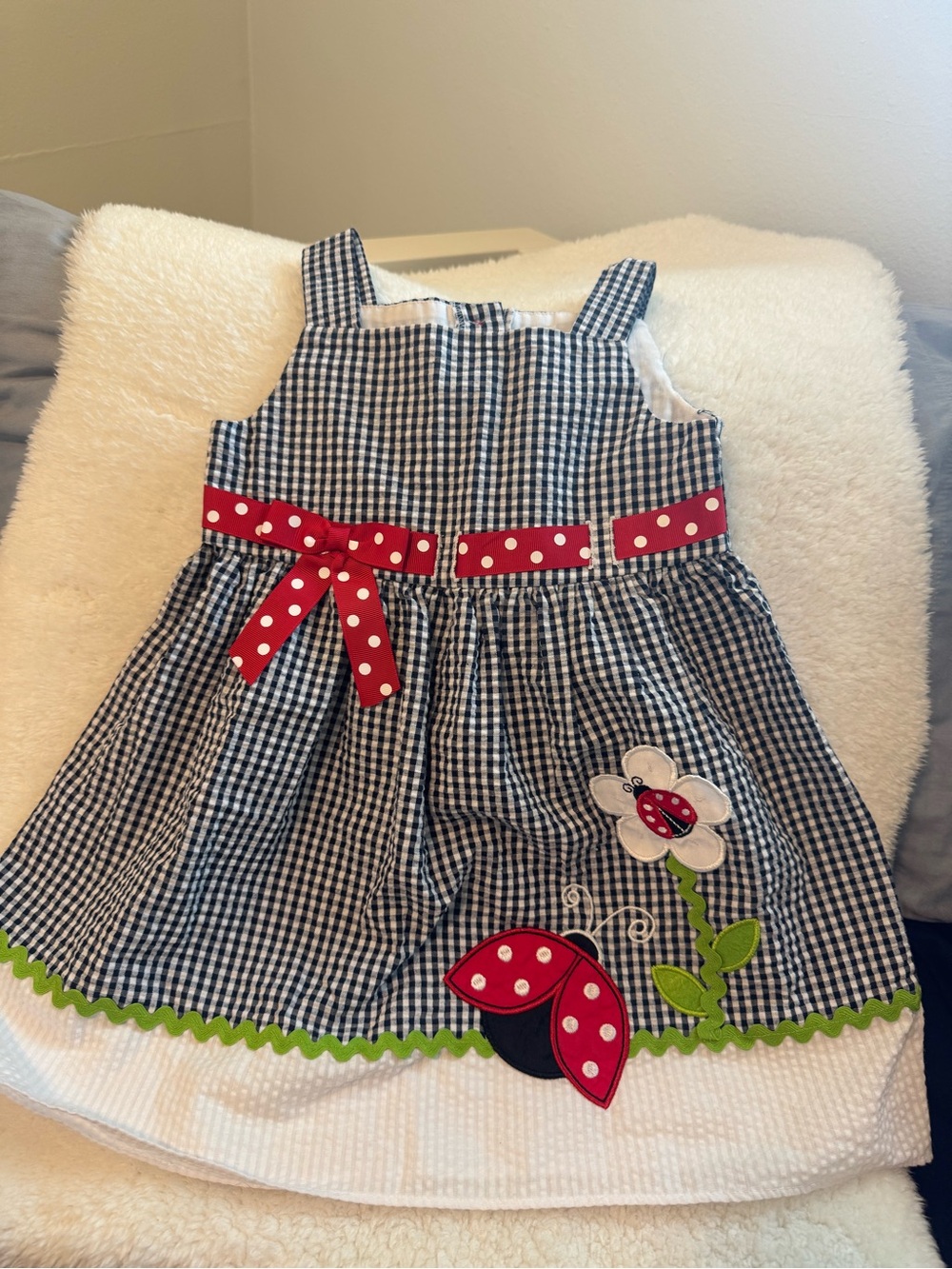 Rare Editions Black and White Gingham Dress with Red Ladybug Accents